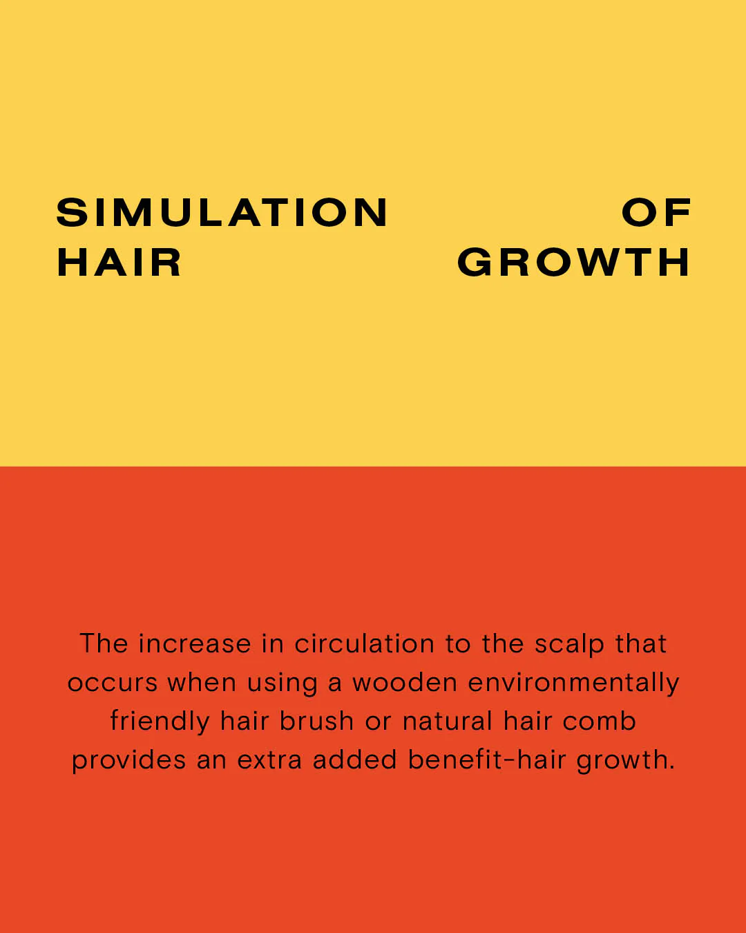 The Detangle Kit - Image 5