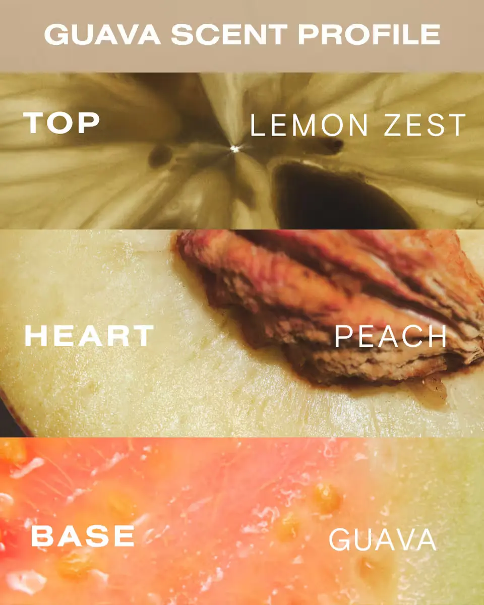 Guava Air Dry Method - Image 6