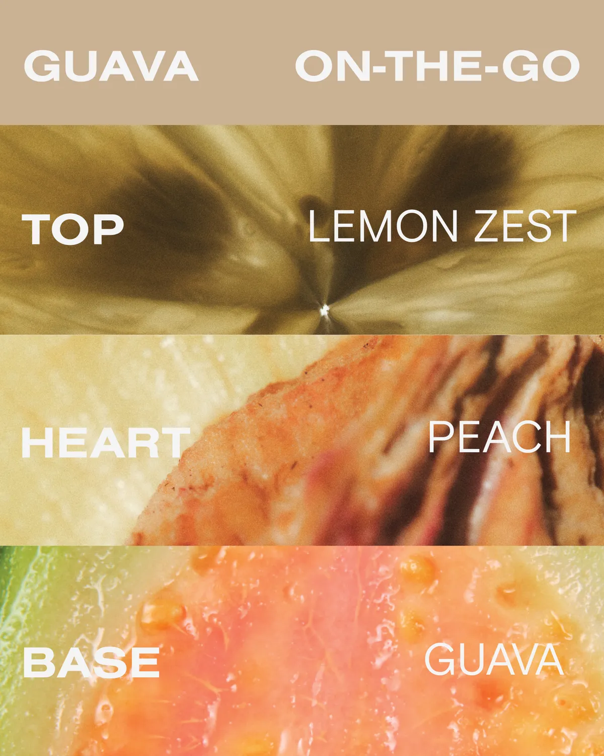 Guava On-The-Go Kit - Image 5