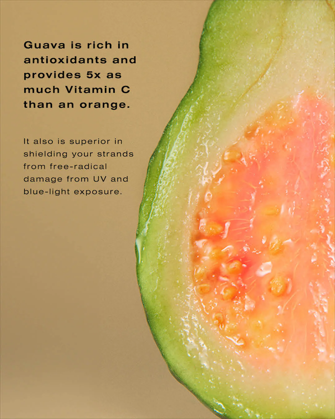 Protect, Hydrate, & Repair Kit - Image 4